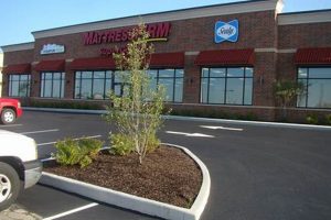 Best Mattress Firm Findlay: Sleep Better Now! | Organic & Natural Mattress Buyer’s Guide: Non-Toxic Sleep Solutions