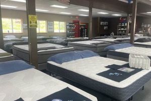 Best Mattress Firm in Wasilla AK: [Location Guide] | Organic & Natural Mattress Buyer’s Guide: Non-Toxic Sleep Solutions