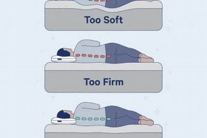 Is *Too* Firm Bad? Can a Firm Mattress Cause Back Pain Relief? | Organic & Natural Mattress Buyer’s Guide: Non-Toxic Sleep Solutions