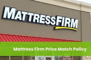 Mattress Firm Price Match: Get the Best Sleep Deals | Organic & Natural Mattress Buyer’s Guide: Non-Toxic Sleep Solutions