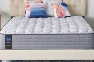 Sealy Carver: Firm 11 vs. Plush 13.5 - Which Mattress Wins? | Organic & Natural Mattress Buyer’s Guide: Non-Toxic Sleep Solutions