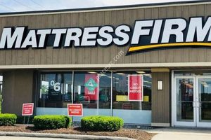 Best Mattress Firm Manchester NH: Sleep Better Tonight | Organic & Natural Mattress Buyer’s Guide: Non-Toxic Sleep Solutions