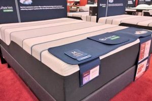 Best Mattress Firm Beverly MA: Find Your Perfect Bed! | Organic & Natural Mattress Buyer’s Guide: Non-Toxic Sleep Solutions