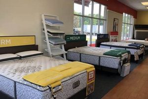 Find Mattress Firm Winston Salem: Best Sleep Deals Near You! Organic & Natural Mattress Buyer’s Guide: Non-Toxic Sleep Solutions Find Mattress Firm Winston Salem: Best Sleep Deals Near You! | Organic & Natural Mattress Buyer’s Guide: Non-Toxic Sleep Solutions