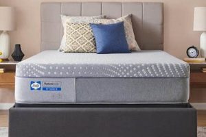 Sealy Lacey 13 Firm: Your Best Hybrid Mattress! | Organic & Natural Mattress Buyer’s Guide: Non-Toxic Sleep Solutions