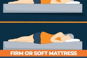 Firm or Soft Mattress? Best Choice Guide [Year] | Organic & Natural Mattress Buyer’s Guide: Non-Toxic Sleep Solutions