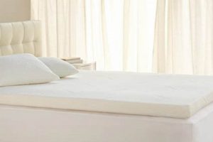 Best Tempurpedic Mattress Topper Twin XL for College Dorms! | Organic & Natural Mattress Buyer’s Guide: Non-Toxic Sleep Solutions