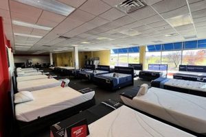 Find Your Firm Comfort: Mattress Firm Irving Town Center Organic & Natural Mattress Buyer’s Guide: Non-Toxic Sleep Solutions Find Your Firm Comfort: Mattress Firm Irving Town Center | Organic & Natural Mattress Buyer’s Guide: Non-Toxic Sleep Solutions