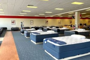 Best Mattress Firm in Pittsburgh, PA: Sleep Better! Organic & Natural Mattress Buyer’s Guide: Non-Toxic Sleep Solutions Best Mattress Firm in Pittsburgh, PA: Sleep Better! | Organic & Natural Mattress Buyer’s Guide: Non-Toxic Sleep Solutions