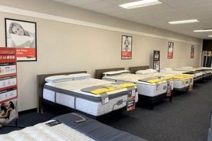 Shop Mattresses Near You: Mattress Firm Charlottesville, VA Organic & Natural Mattress Buyer’s Guide: Non-Toxic Sleep Solutions Shop Mattresses Near You: Mattress Firm Charlottesville, VA | Organic & Natural Mattress Buyer’s Guide: Non-Toxic Sleep Solutions
