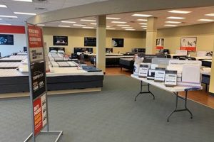Best Mattress Firm Cary NC: Find Your Perfect Bed! Organic & Natural Mattress Buyer’s Guide: Non-Toxic Sleep Solutions Best Mattress Firm Cary NC: Find Your Perfect Bed! | Organic & Natural Mattress Buyer’s Guide: Non-Toxic Sleep Solutions