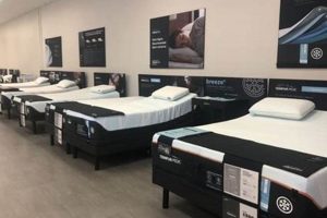 Sleep Well Hyannis: Mattress Firm Hyannis MA Deals | Organic & Natural Mattress Buyer’s Guide: Non-Toxic Sleep Solutions