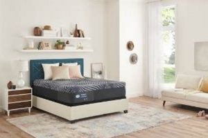 Mattress Firm Murrells Inlet: Sleep Soundly Near You | Organic & Natural Mattress Buyer’s Guide: Non-Toxic Sleep Solutions