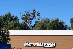 Mattress Firm Payment Guide: Easy & Secure Options | Organic & Natural Mattress Buyer’s Guide: Non-Toxic Sleep Solutions