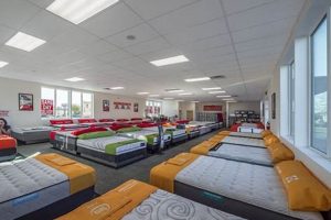 Shop Mattresses: Mattress Firm Jenkintown, PA - Best Deals! Organic & Natural Mattress Buyer’s Guide: Non-Toxic Sleep Solutions Shop Mattresses: Mattress Firm Jenkintown, PA - Best Deals! | Organic & Natural Mattress Buyer’s Guide: Non-Toxic Sleep Solutions