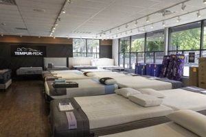 Mattress Firm Shadyside: Your Sleep Experts in Pittsburgh Organic & Natural Mattress Buyer’s Guide: Non-Toxic Sleep Solutions Mattress Firm Shadyside: Your Sleep Experts in Pittsburgh | Organic & Natural Mattress Buyer’s Guide: Non-Toxic Sleep Solutions