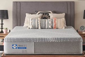 Best Mattress Firm Norman, OK: Sleep Better Now! | Organic & Natural Mattress Buyer’s Guide: Non-Toxic Sleep Solutions