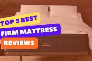 Best Firm Mattress: Reddit User Picks for Better Sleep | Organic & Natural Mattress Buyer’s Guide: Non-Toxic Sleep Solutions