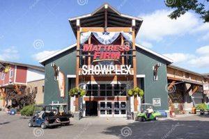 Sleep Firm: Mattress Firm Showplex Deals &amp; More! | Organic & Natural Mattress Buyer’s Guide: Non-Toxic Sleep Solutions