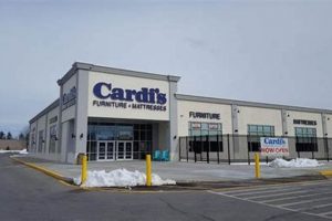 Your Best Sleep: Mattress Firm Seabrook, NH Deals! | Organic & Natural Mattress Buyer’s Guide: Non-Toxic Sleep Solutions