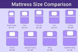 Twin XL Mattress Dimensions: The Complete Bed Size Guide Safem Fabrication - Precision Engineering & Custom Manufacturing Solutions Twin XL Mattress Dimensions: The Complete Bed Size Guide | Safem Fabrication - Precision Engineering & Custom Manufacturing Solutions