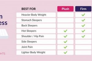 Plush Mattress vs Firm: Which is Best For *You*? Safem Fabrication - Precision Engineering & Custom Manufacturing Solutions Plush Mattress vs Firm: Which is Best For *You*? | Safem Fabrication - Precision Engineering & Custom Manufacturing Solutions