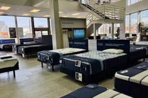 Find the Best Mattress Firm Near Rockville Towne Plaza | Organic & Natural Mattress Buyer’s Guide: Non-Toxic Sleep Solutions
