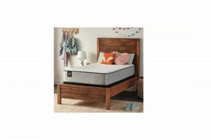 Firm Sealy Essentials Summer Elm Mattress: Is It Right For You? | Organic & Natural Mattress Buyer’s Guide: Non-Toxic Sleep Solutions
