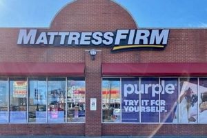 Best Mattress Firm South Loop West: Sleep Solutions | Organic & Natural Mattress Buyer’s Guide: Non-Toxic Sleep Solutions