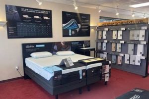 Find Mattress Firm Burlington MA: Deals & Reviews Organic & Natural Mattress Buyer’s Guide: Non-Toxic Sleep Solutions Find Mattress Firm Burlington MA: Deals & Reviews | Organic & Natural Mattress Buyer’s Guide: Non-Toxic Sleep Solutions