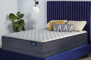 Best Firm Innerspring Mattress: Support & Comfort Guide Organic & Natural Mattress Buyer’s Guide: Non-Toxic Sleep Solutions Best Firm Innerspring Mattress: Support & Comfort Guide | Organic & Natural Mattress Buyer’s Guide: Non-Toxic Sleep Solutions