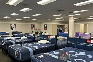 Best Mattress Firm Torrance Deals Near Me Organic & Natural Mattress Buyer’s Guide: Non-Toxic Sleep Solutions Best Mattress Firm Torrance Deals Near Me | Organic & Natural Mattress Buyer’s Guide: Non-Toxic Sleep Solutions