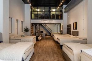Find Best Mattress Firm in Jersey City: Sleep Soundly | Organic & Natural Mattress Buyer’s Guide: Non-Toxic Sleep Solutions