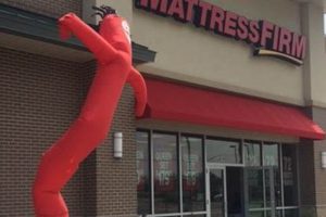 Your Best Mattress Firm Slidell: Find It Here! | Organic & Natural Mattress Buyer’s Guide: Non-Toxic Sleep Solutions