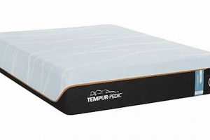 Wentzville Mattress Firm: Your Local Sleep Experts | Organic & Natural Mattress Buyer’s Guide: Non-Toxic Sleep Solutions