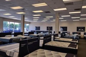 Best Mattress Firm Parmer Clearance Center Deals Near You | Organic & Natural Mattress Buyer’s Guide: Non-Toxic Sleep Solutions