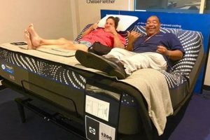 Maui Mattress Firm: Best Beds & Sleep Solutions | Organic & Natural Mattress Buyer’s Guide: Non-Toxic Sleep Solutions