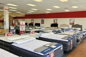 Best Mattress Firm Wichita KS: Sleep Better Guide Organic & Natural Mattress Buyer’s Guide: Non-Toxic Sleep Solutions Best Mattress Firm Wichita KS: Sleep Better Guide | Organic & Natural Mattress Buyer’s Guide: Non-Toxic Sleep Solutions