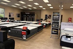 Best Mattress Firm Destin Deals: Sleep Soundly Tonight! Organic & Natural Mattress Buyer’s Guide: Non-Toxic Sleep Solutions Best Mattress Firm Destin Deals: Sleep Soundly Tonight! | Organic & Natural Mattress Buyer’s Guide: Non-Toxic Sleep Solutions