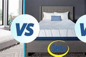 Simmons, Sealy, Serta Mattress: Best Choice For YOU? Safem Fabrication - Precision Engineering & Custom Manufacturing Solutions Simmons, Sealy, Serta Mattress: Best Choice For YOU? | Safem Fabrication - Precision Engineering & Custom Manufacturing Solutions
