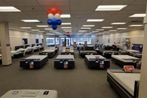 Best Mattress Firm Bridgeport Options Near You! | Organic & Natural Mattress Buyer’s Guide: Non-Toxic Sleep Solutions