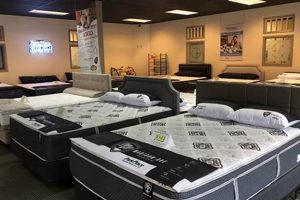 Find Your Perfect Mattress at Mattress Firm, Johnson City, TN | Organic & Natural Mattress Buyer’s Guide: Non-Toxic Sleep Solutions