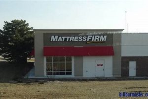 Best Mattress Firm in Orland Park, IL: [Your Suffix Here] | Organic & Natural Mattress Buyer’s Guide: Non-Toxic Sleep Solutions