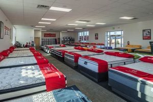 Best Mattress Firm Waxahachie: Sleep Better Now! | Organic & Natural Mattress Buyer’s Guide: Non-Toxic Sleep Solutions