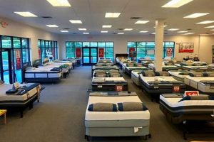 Salisbury Mattress Firm: [Prefix] Sleep Solutions [Suffix] | Organic & Natural Mattress Buyer’s Guide: Non-Toxic Sleep Solutions