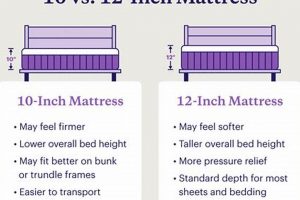 Mattress Showdown: 10 vs 12 Inch - Which Is Right? Safem Fabrication - Precision Engineering & Custom Manufacturing Solutions Mattress Showdown: 10 vs 12 Inch - Which Is Right? | Safem Fabrication - Precision Engineering & Custom Manufacturing Solutions