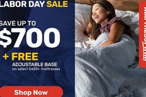 Find Your Dream Mattress at Mattress Firm Troy, MI | Organic & Natural Mattress Buyer’s Guide: Non-Toxic Sleep Solutions