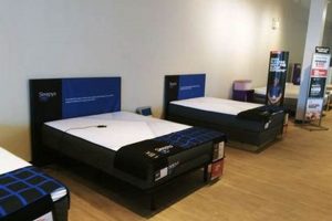 Find Your Perfect Mattress at Town & Country Mattress Firm! Organic & Natural Mattress Buyer’s Guide: Non-Toxic Sleep Solutions Find Your Perfect Mattress at Town & Country Mattress Firm! | Organic & Natural Mattress Buyer’s Guide: Non-Toxic Sleep Solutions