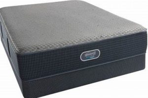 Best Mattress Firm Acton MA: Sleep Solutions & More Organic & Natural Mattress Buyer’s Guide: Non-Toxic Sleep Solutions Best Mattress Firm Acton MA: Sleep Solutions & More | Organic & Natural Mattress Buyer’s Guide: Non-Toxic Sleep Solutions