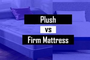 Firm vs Plush Mattress: Which is Best For *You*? | Organic & Natural Mattress Buyer’s Guide: Non-Toxic Sleep Solutions